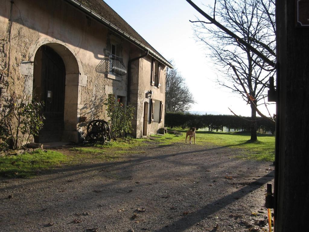 Chez Robert Et Catherine Dompierre-sur-Mont Pokój zdjęcie